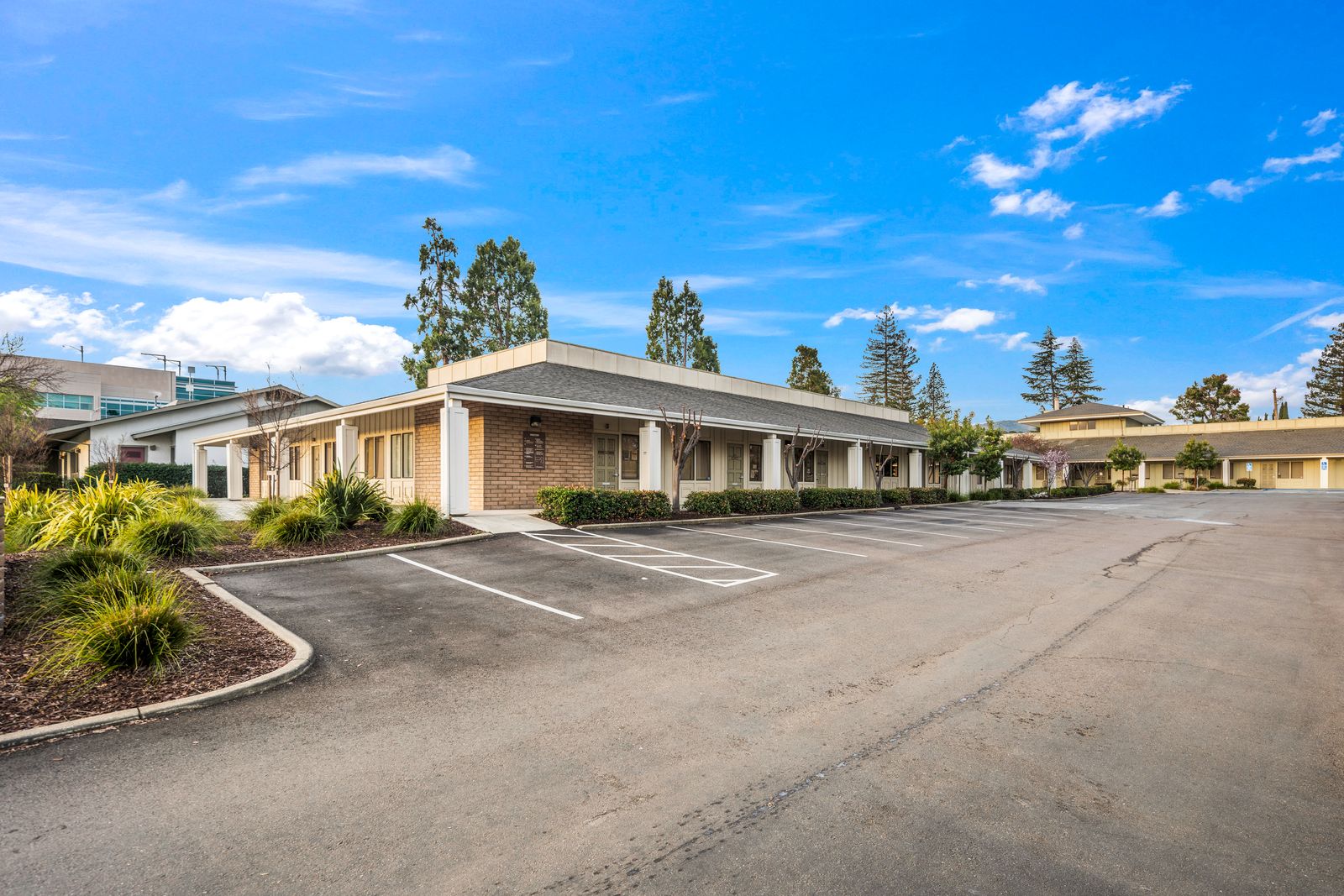 The building from the lot