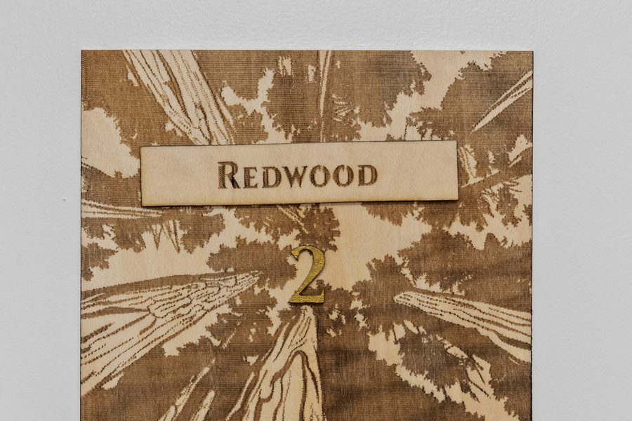 Redwood room sign